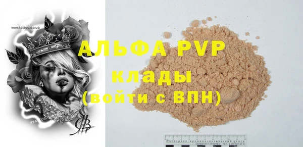 стафф Алексин