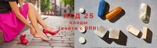 стафф Алексин
