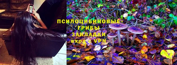 стафф Алексин