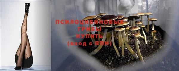 стафф Алзамай