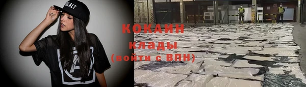 стафф Алексин