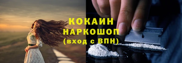 стафф Алзамай