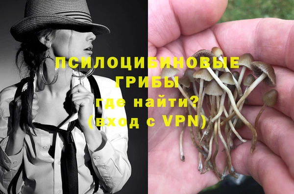 амф Алексеевка