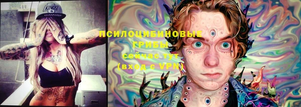 амф Алексеевка