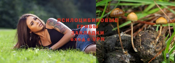 амф Алексеевка